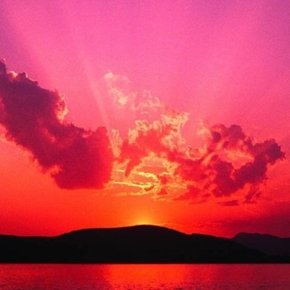 Meet your Posher, Lois - Picture 1 of 1